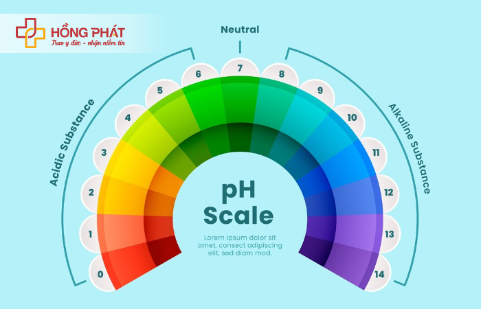 Protein đóng vai trò duy trì độ pH thích hợp