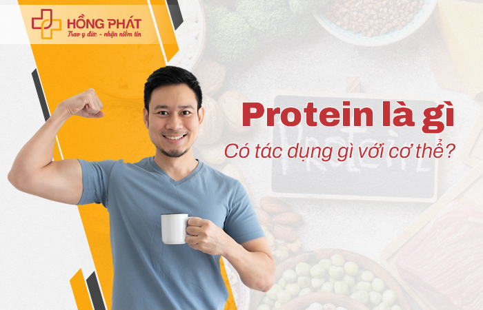 Protein là gì? Có tác dụng gì với cơ thể?